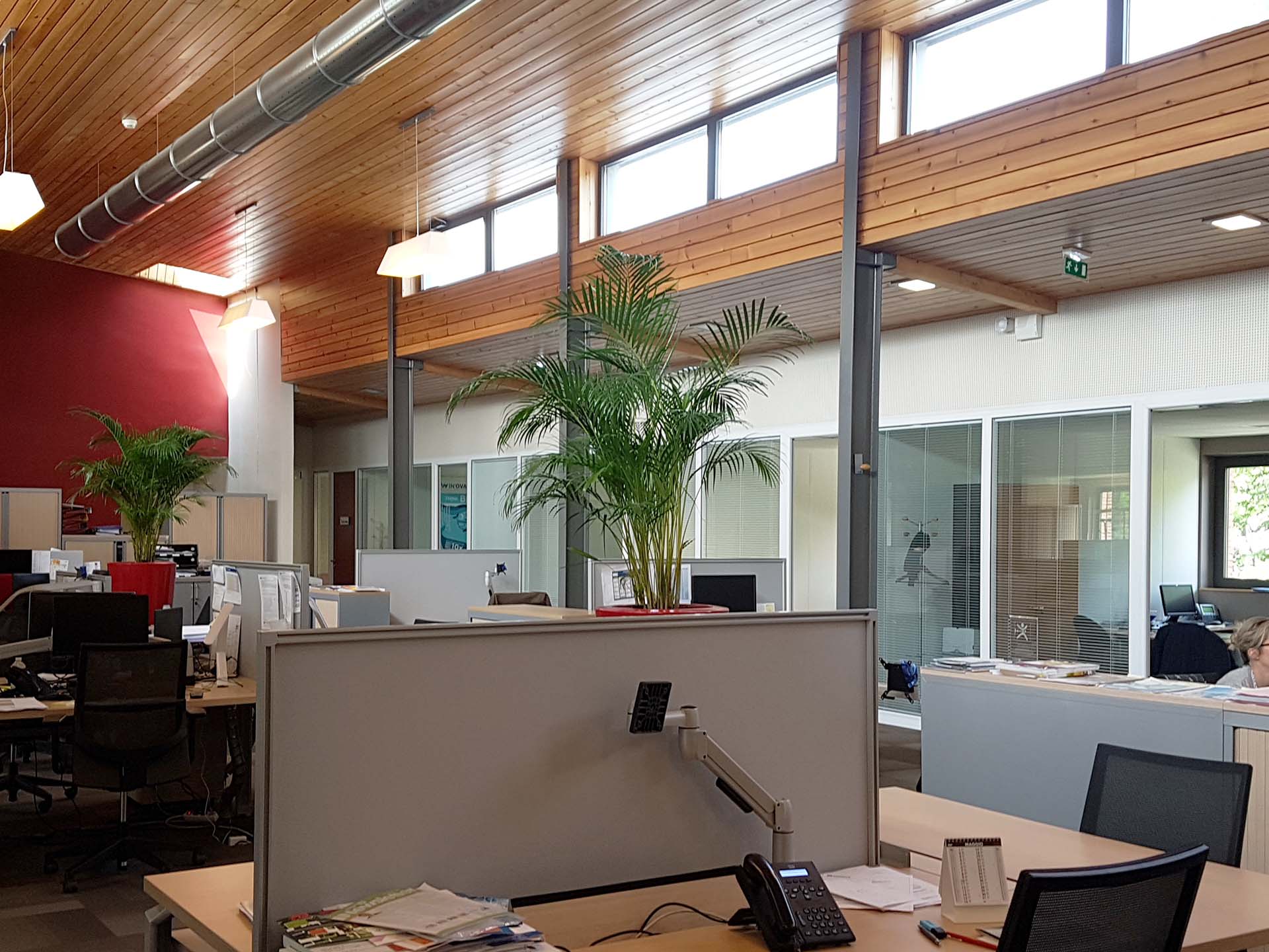 amenagement vegetal open space idee