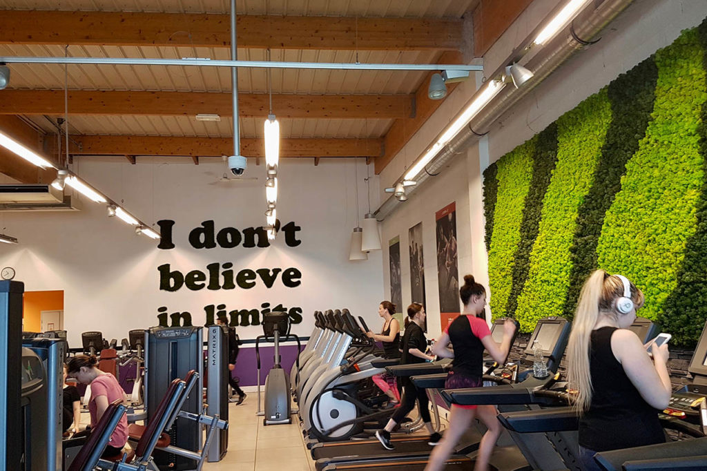 murs végétaux aménagement salle de sport
