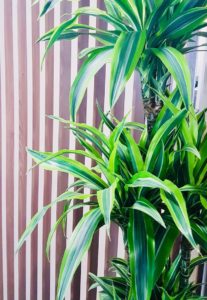 décor végétal en entreprise plante verte naturelle groupama clermont ferrand