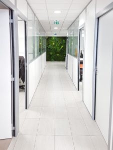 aménagement végétal intérieur mur stabilisé