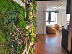 mur végétal stabilisé en entreprise