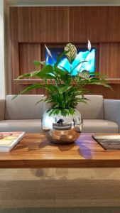 decoration vegetal salon concession automobile luxe