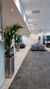 decoration vegetal concession automobile luxe bac inox