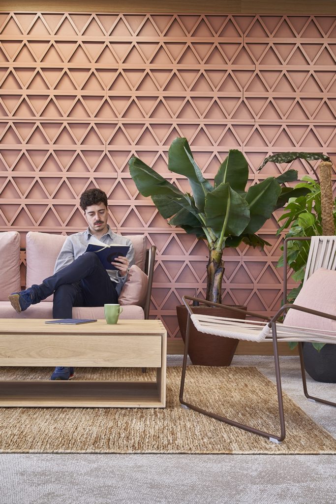 plante verte interieur