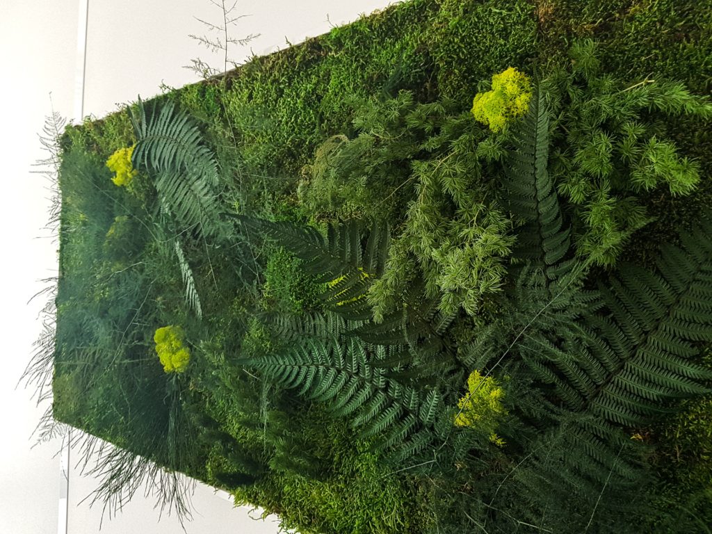 tableau végétal lyon