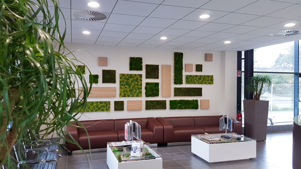 mur vegetal stabilise sur-mesure