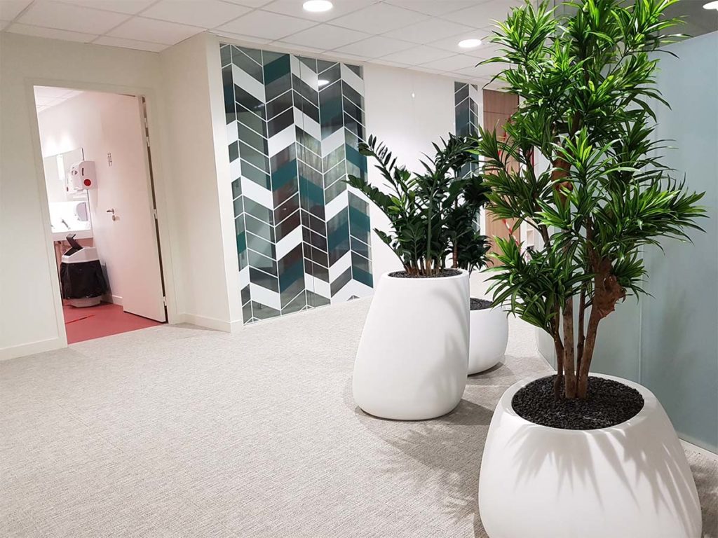 plantes vertes en pot