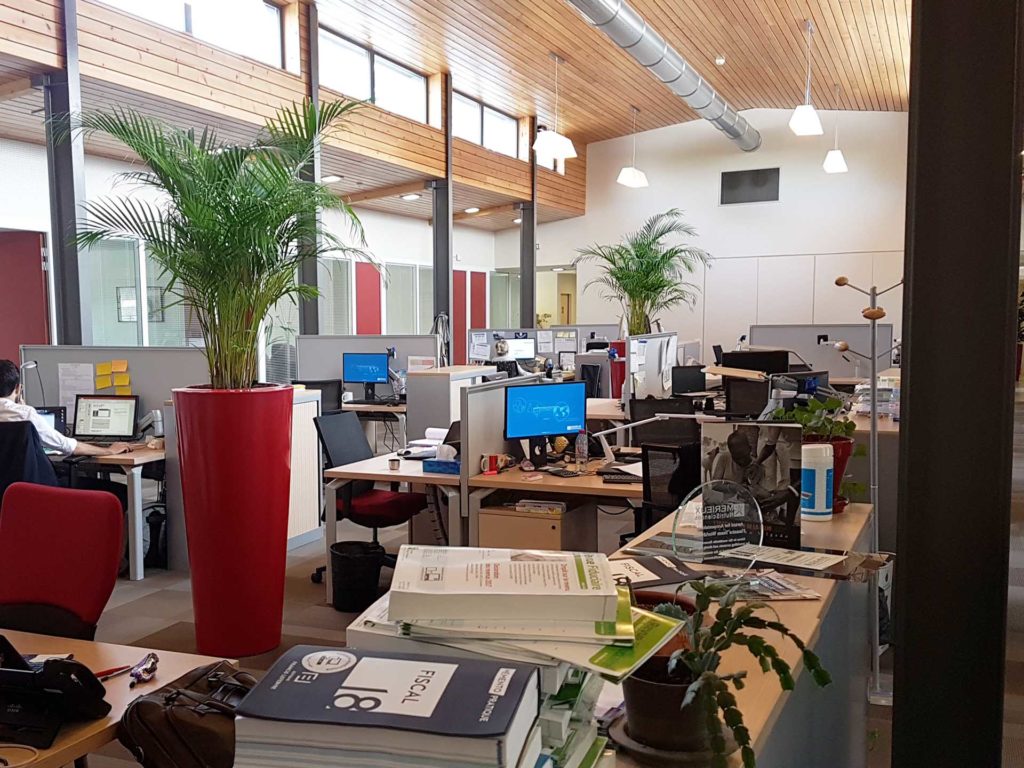 amenagement vegetal open space societe