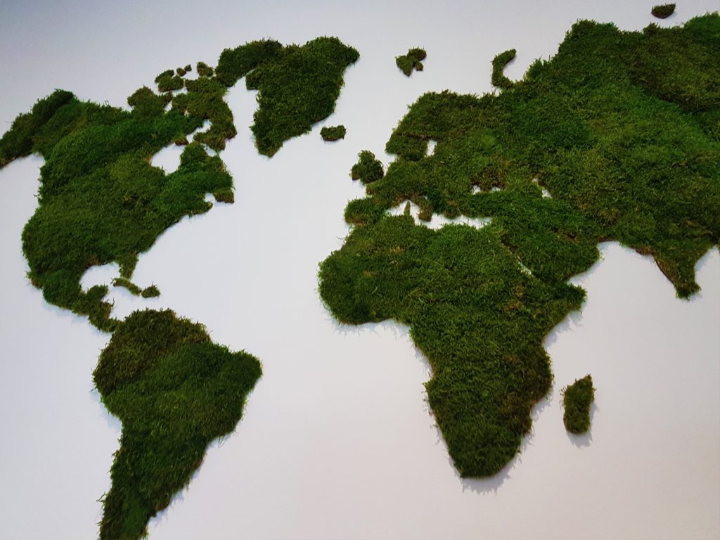 idée décoration végétal murale : mappemonde