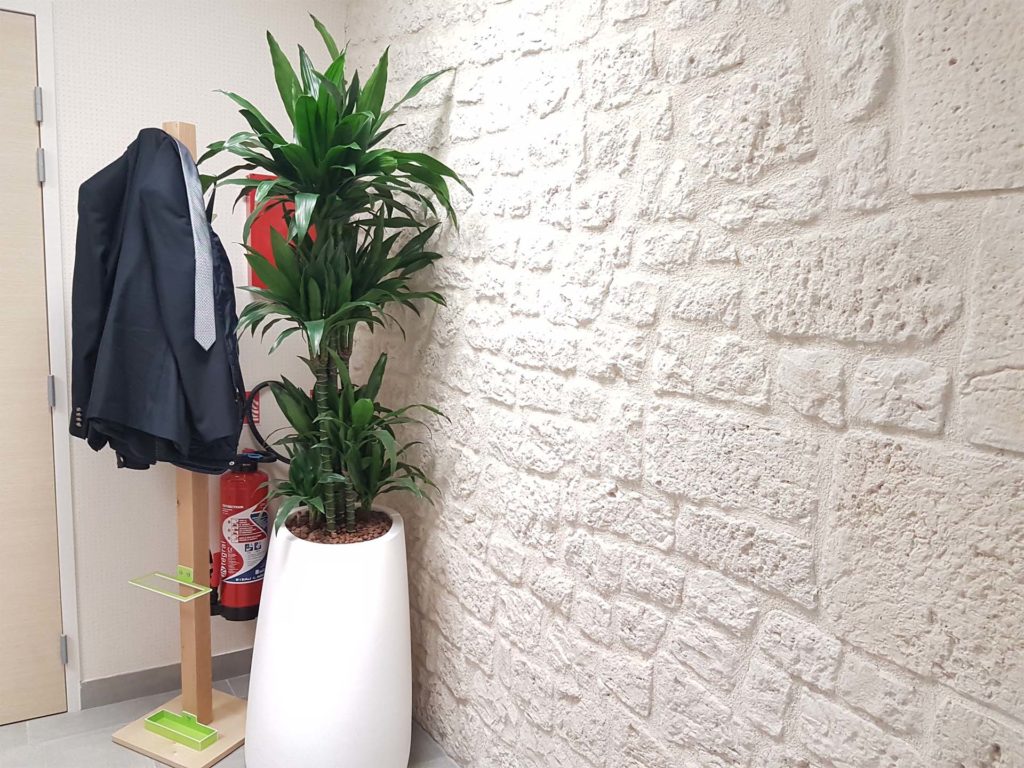 plantes vertes intérieur credit mutuelle