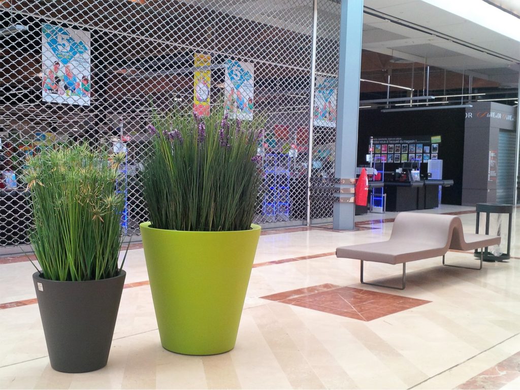 pot coloré pour composition végétale centre commerciale