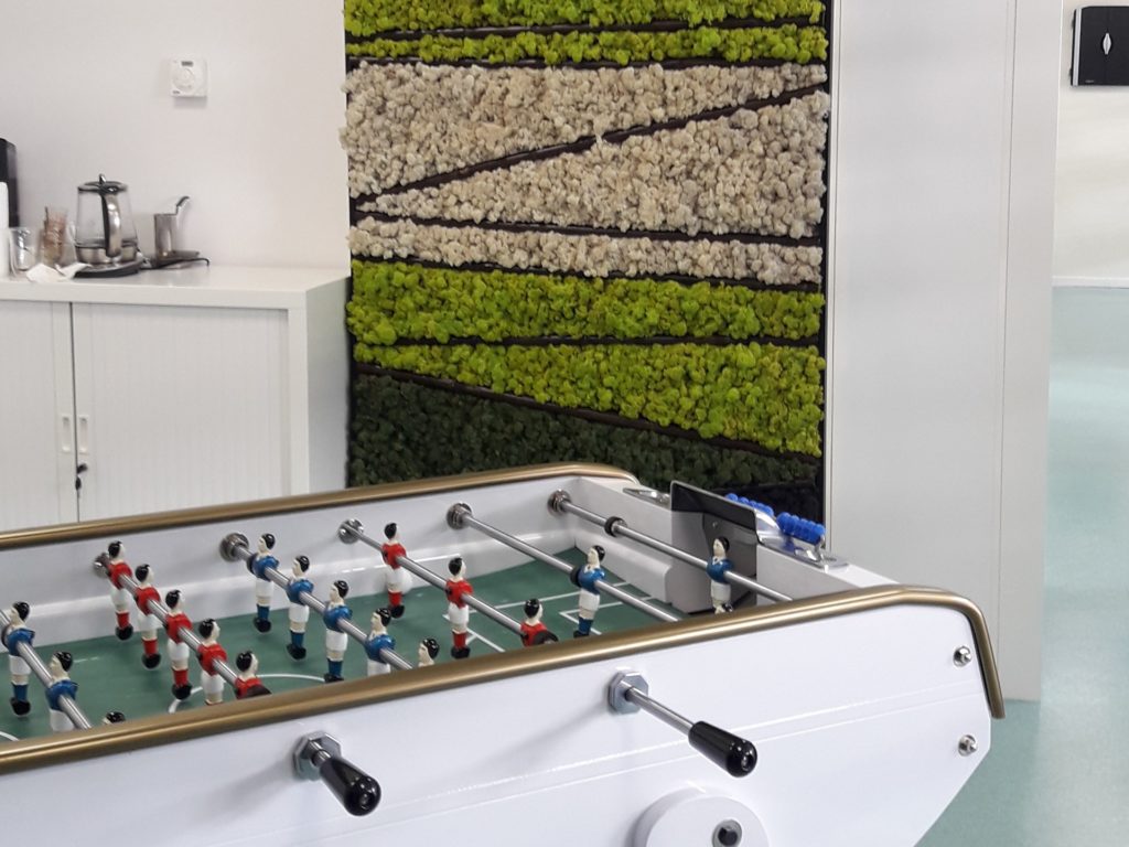 mur végétal a base de bambou et de mousse