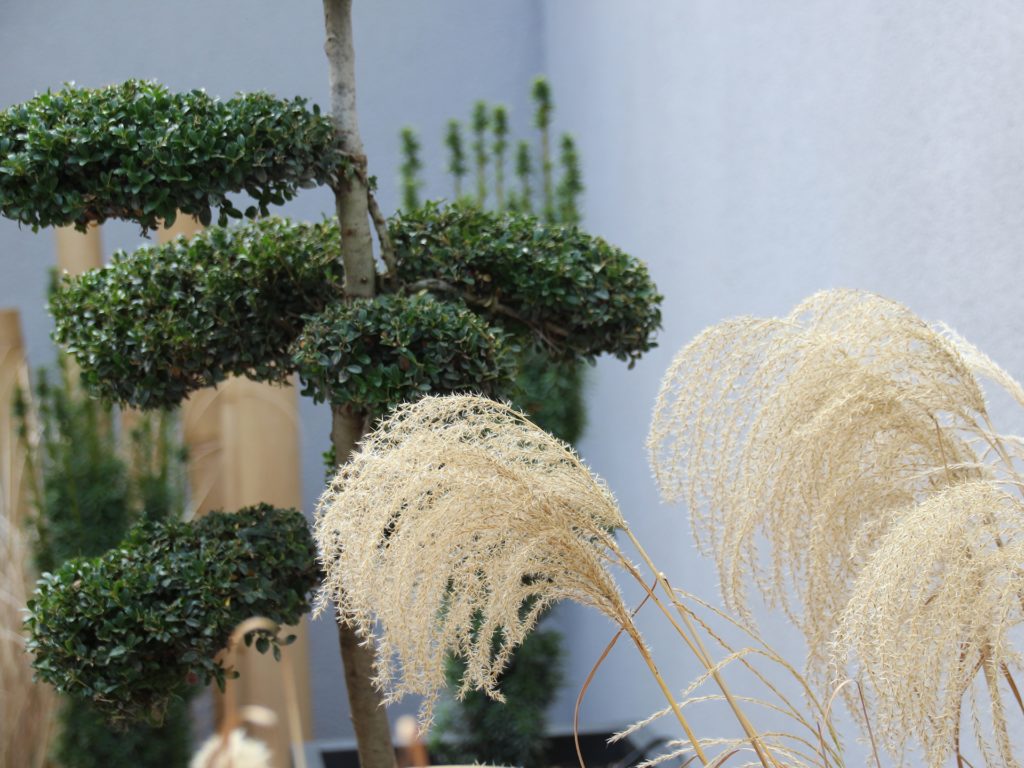 décor végétal extérieur sur mesure