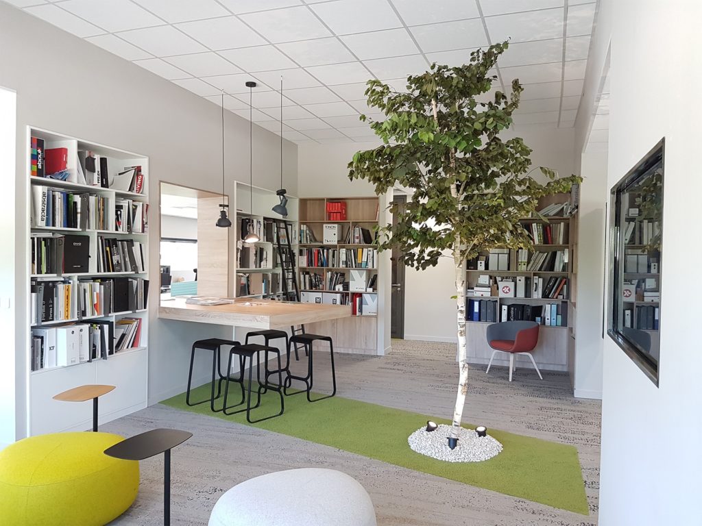 idée de décoration végétale avec arbre intérieur