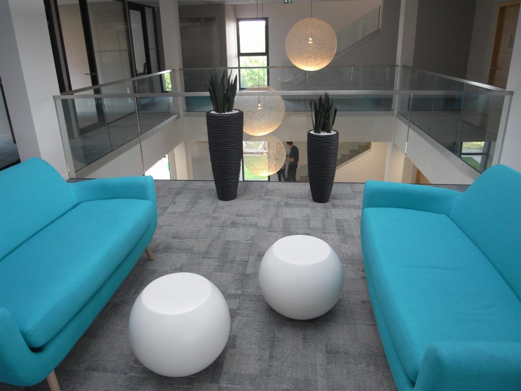 décoration végétale d'intérieur à Lyon