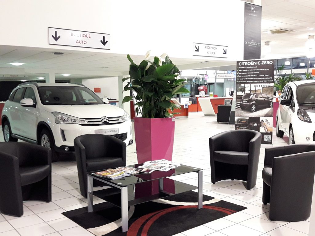 Exemple décoration végétale dans un showroom