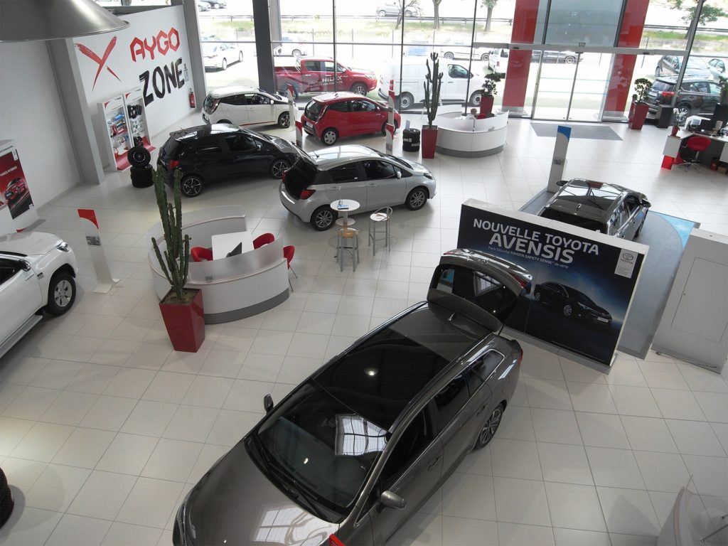 cactus géant dans une concession automobile