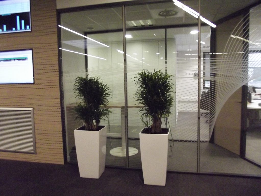 bacs originaux pour plantes vertes