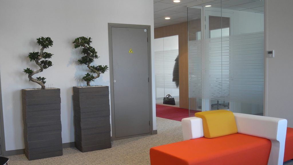 plantes vertes dans un bac en terre cuite