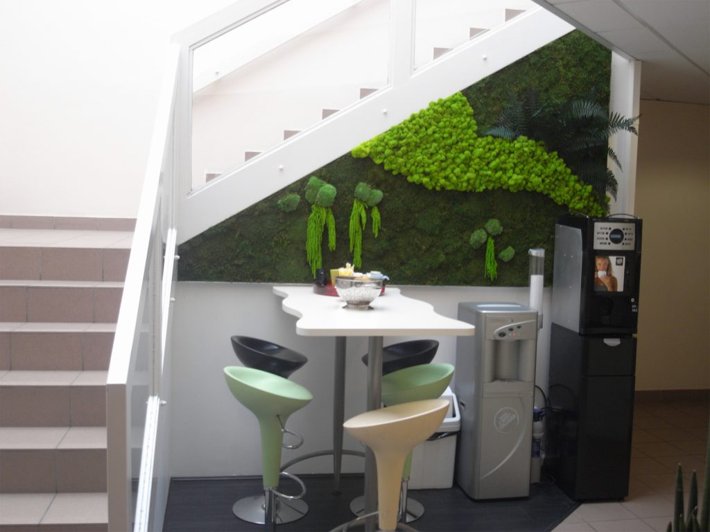 mur végétal stabilisé sans entretien