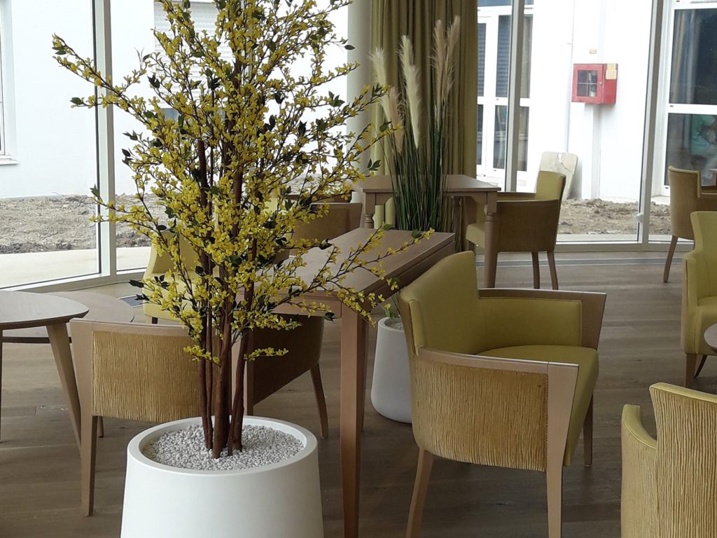 idée decoration végétale en maison de retraite