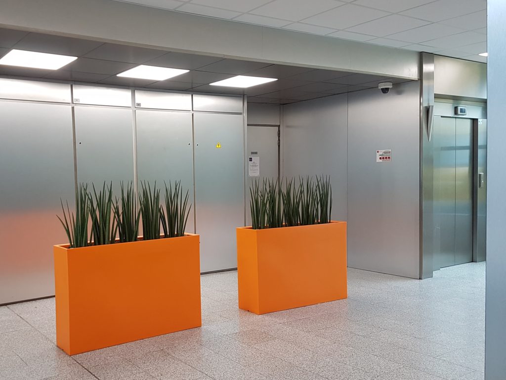 quelles plantes choisir pour vos bureaux