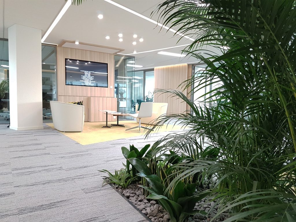 projet végétal original entreprise