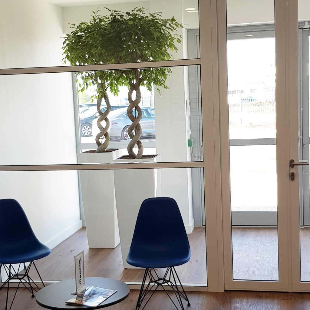plantes hall d'entrée entreprise
