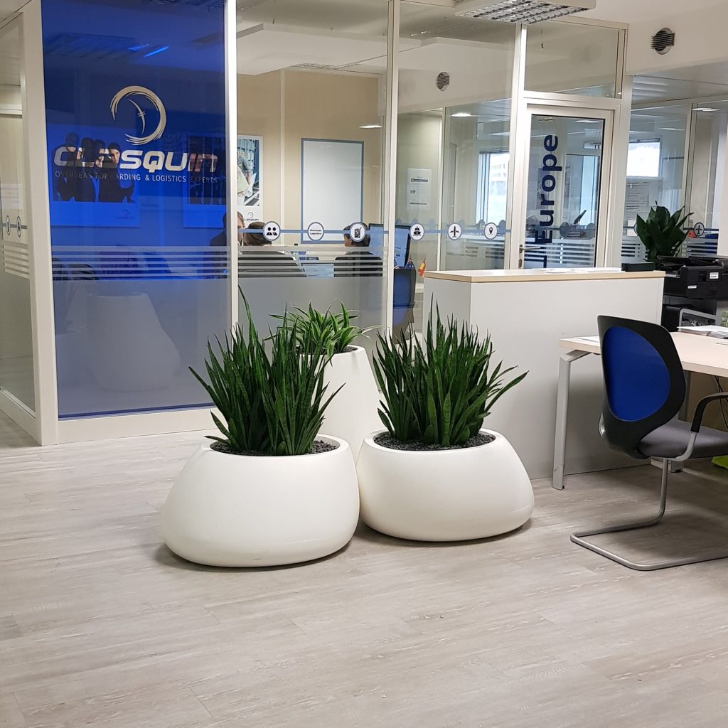 décoration végétale open space entreprise