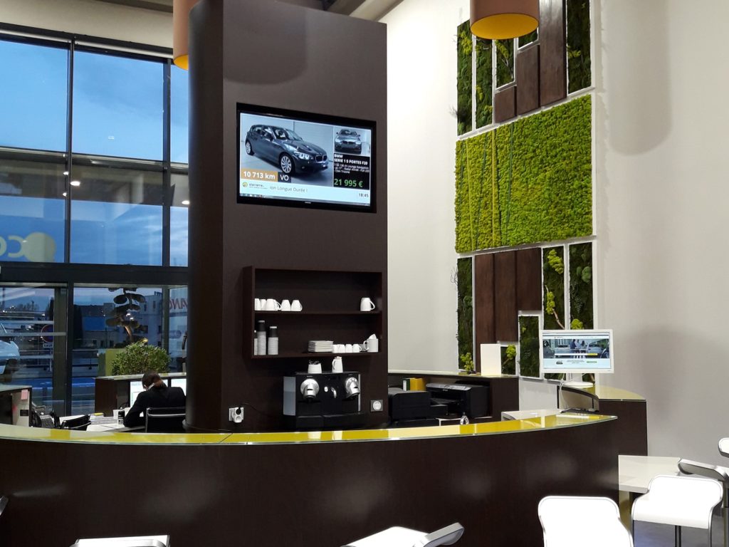 mur végétal en entreprise