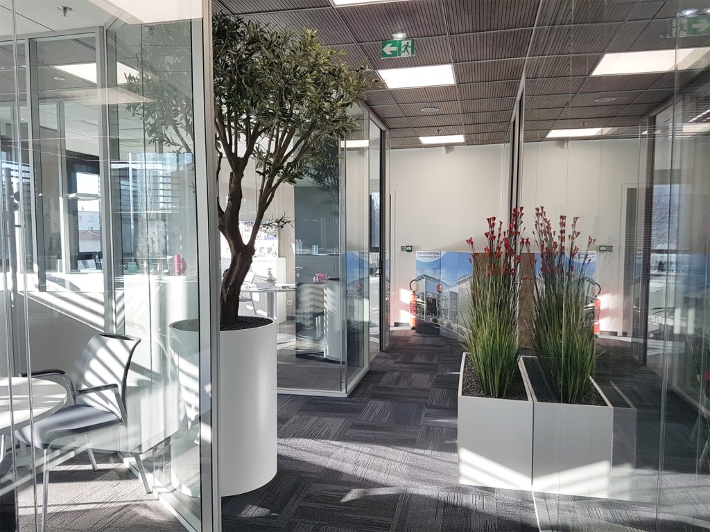 idée aménagement végétal entreprise