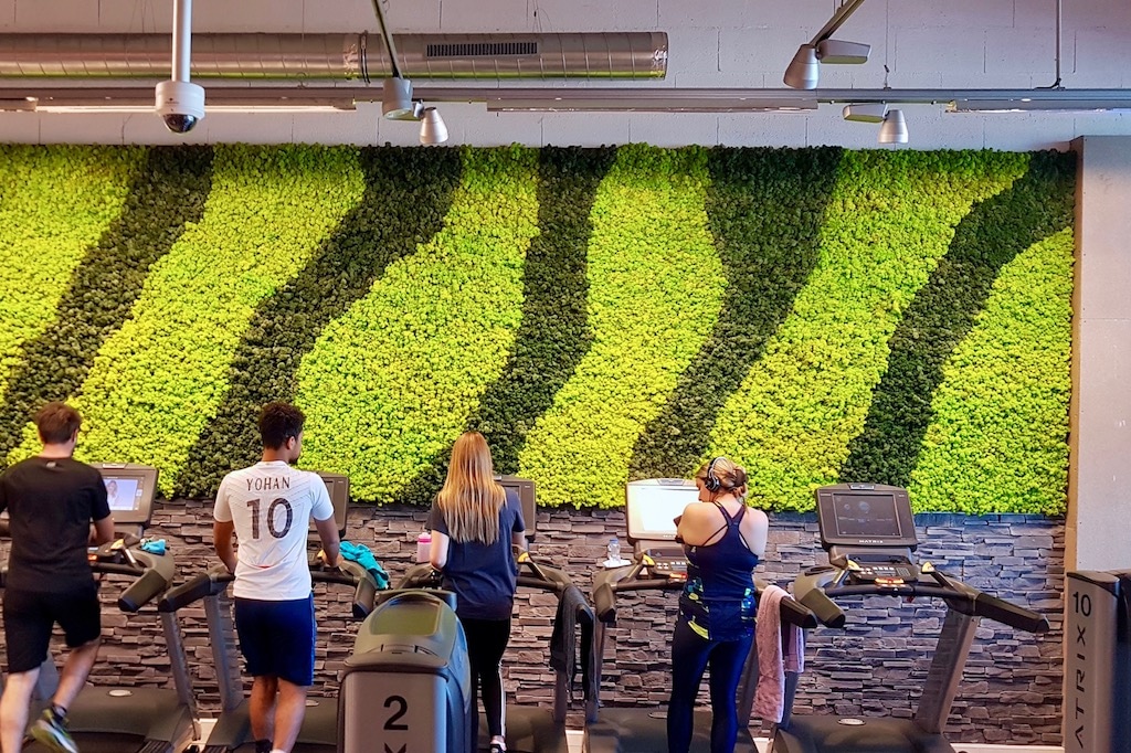 murs vegetaux stabilisés paysagiste interieur