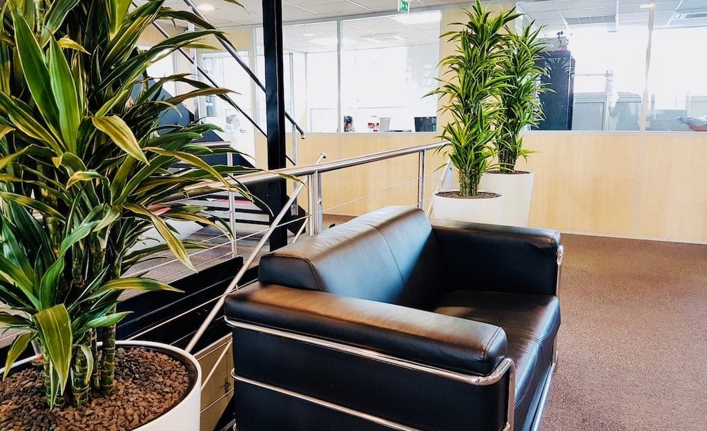 amenagement plantes vertes bureau entreprise