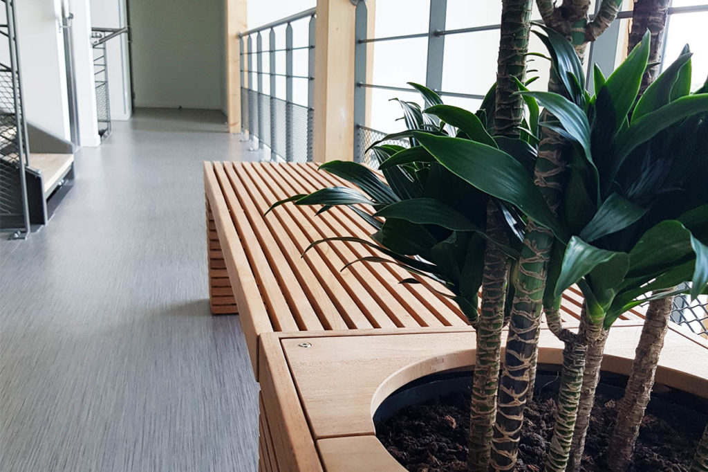 aménagement végétal avec pot en teck