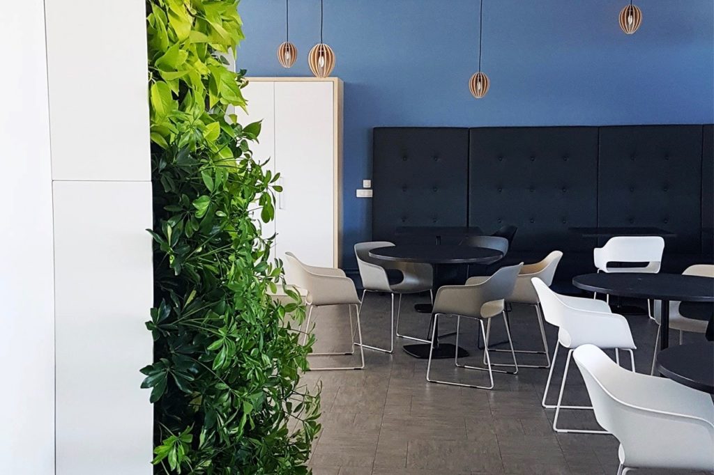 mur végétal cafétéria entreprise