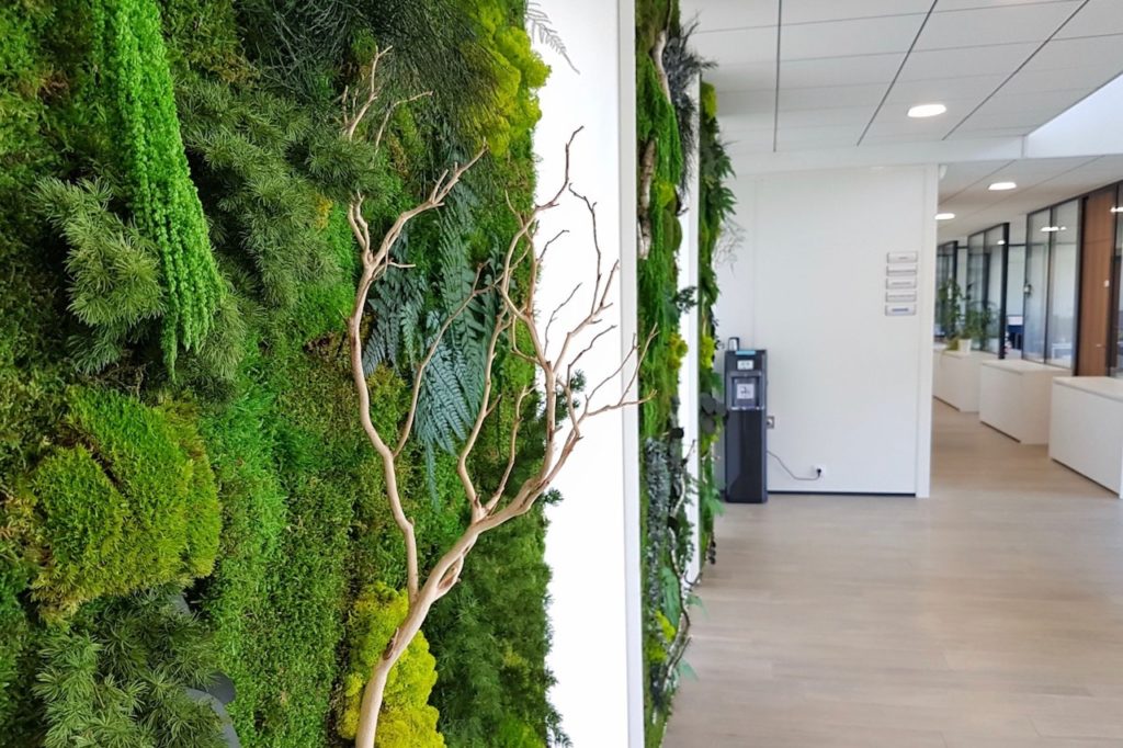 aménagement végétal lyon