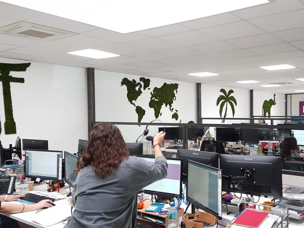 decoration vegetale open space entreprise