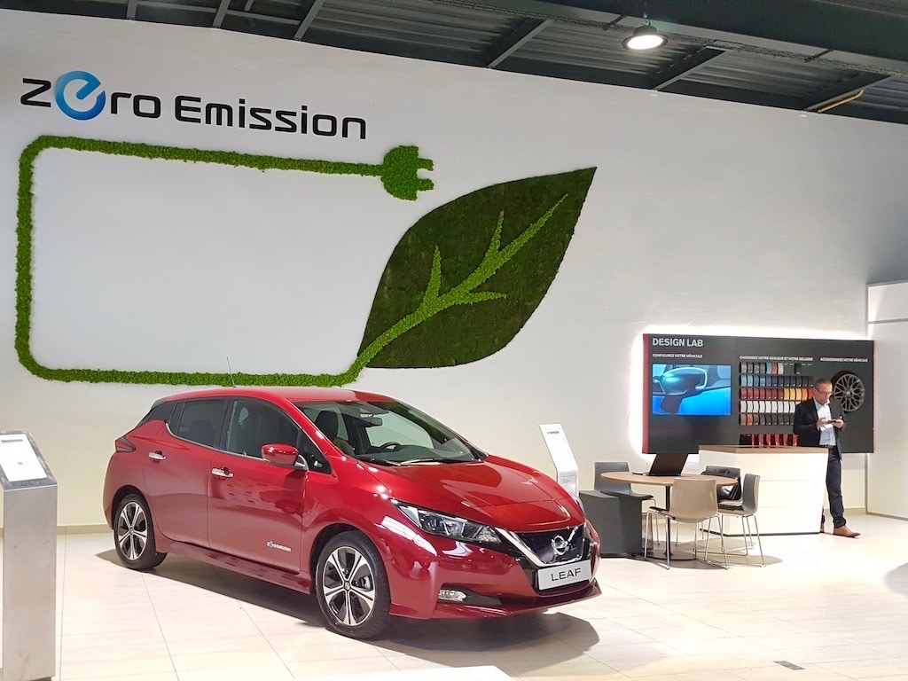 aménagement végétal intérieur mural