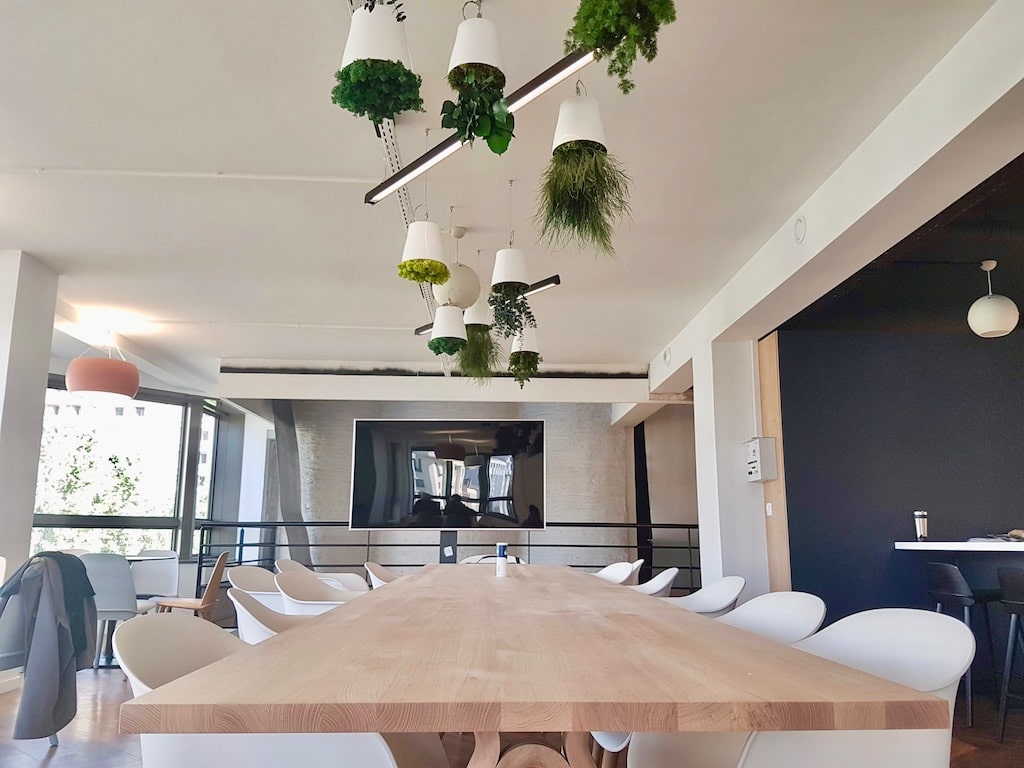 plante suspendues pour aménagement d'un réfectoire d'entreprise