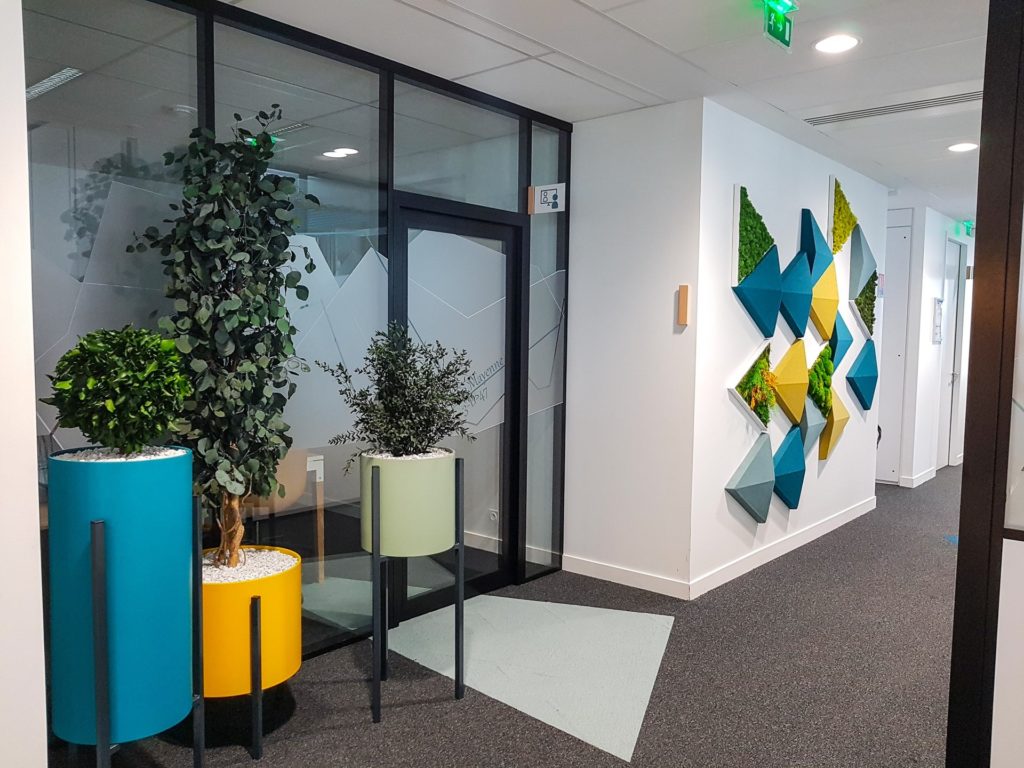 plantes stabilisées lyon