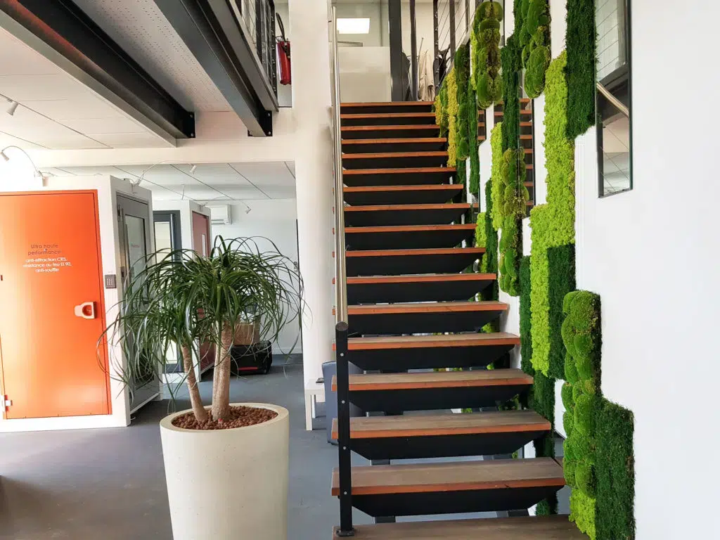 aménagement-végétal-lyon-1024x768