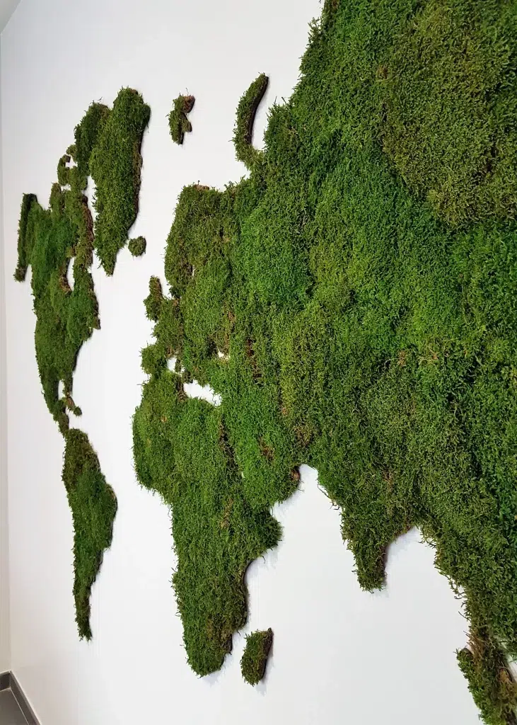 carte-du-monde-vegetale-relief-mousse-stabilisee-accueil-lyon