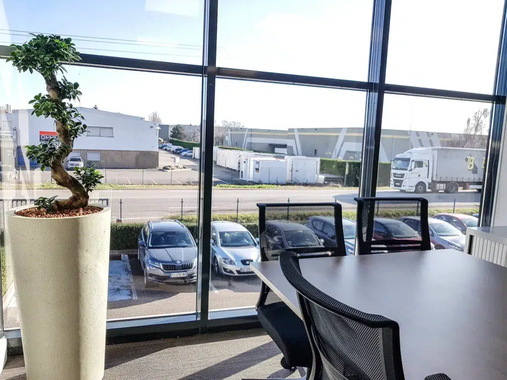 plante-verte-bureau-1024x768