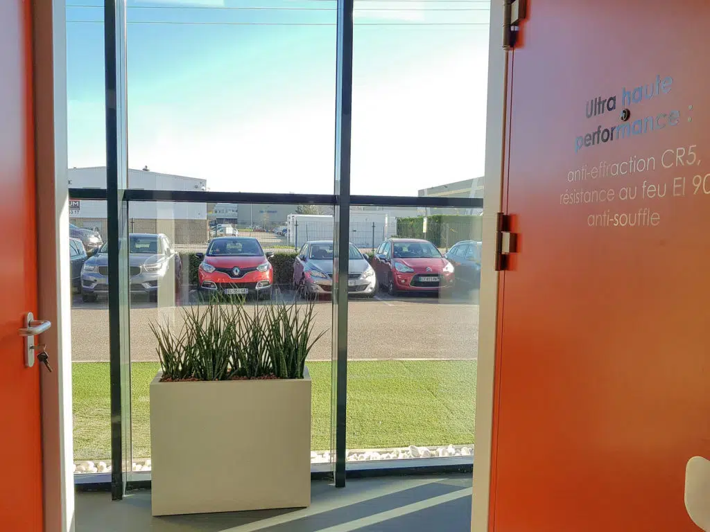 plante-verte-bureau-lyon-1024x768