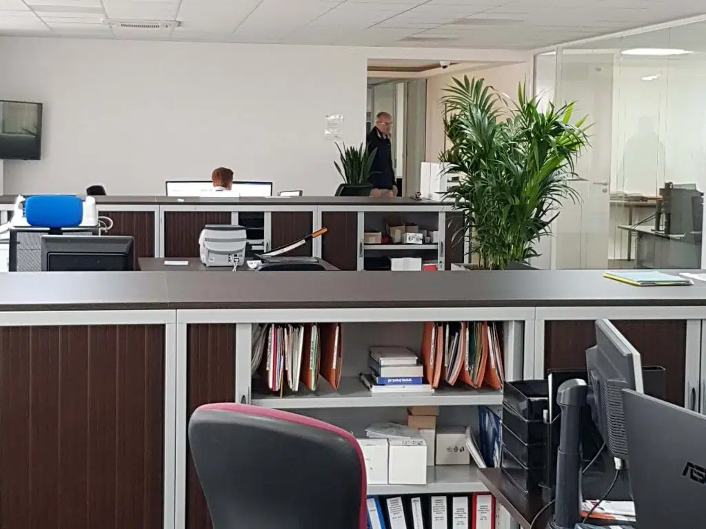 plantes_interieures_pour_open_space_1-1024x768