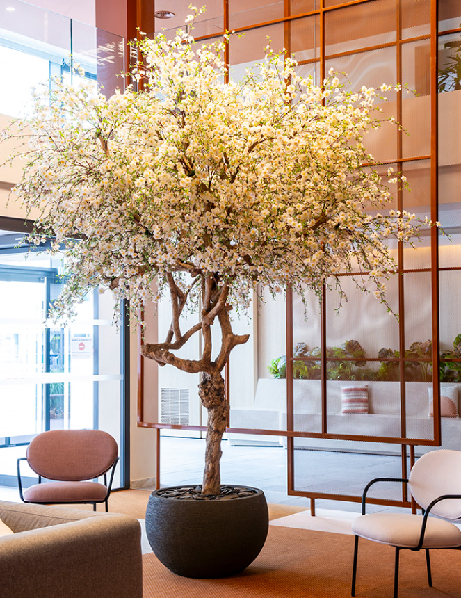 GREEN PROSPECT architecture végétale levier stratégique paysagiste intérieur Lyon végétalisation bureaux