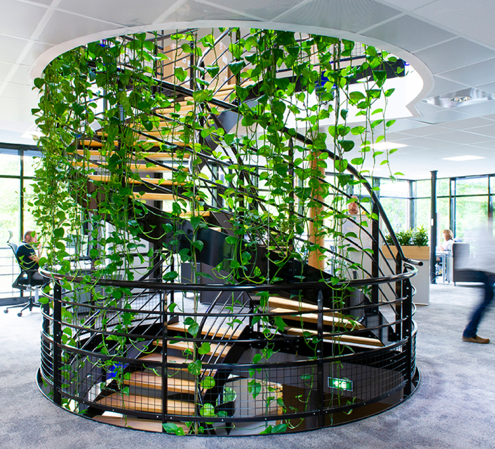 Aménagement végétalisé bureaux Lyon - Designer végétal améliore performance entreprise